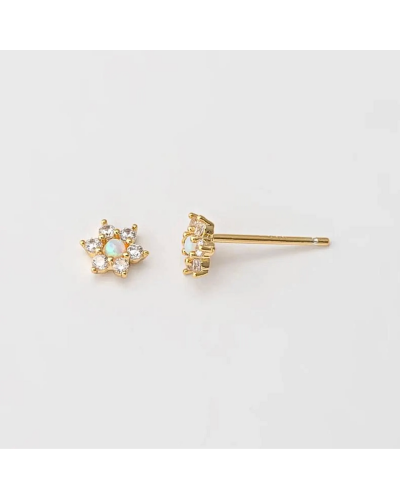 Duo faux piercing & puce d'oreille