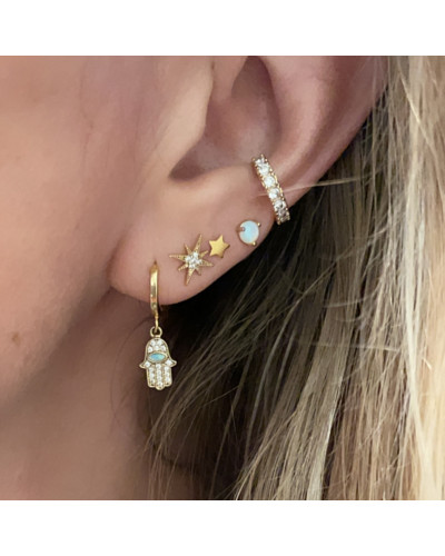 Puce d'oreille Rose des Vents et Strass