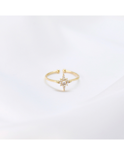 Bague Rose des Vents