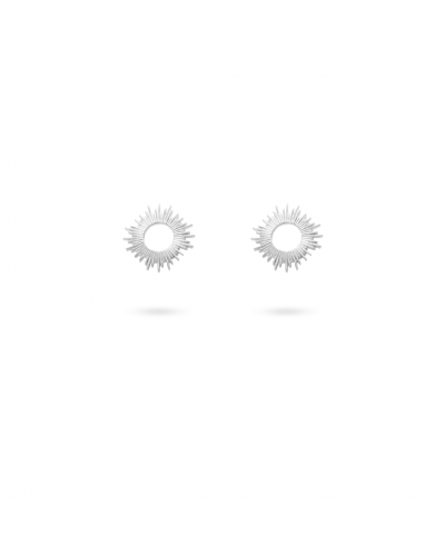 Puce d'oreille soleil