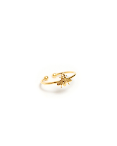 Coffret Bague et Puces abeilles "La Cinquième Saison"