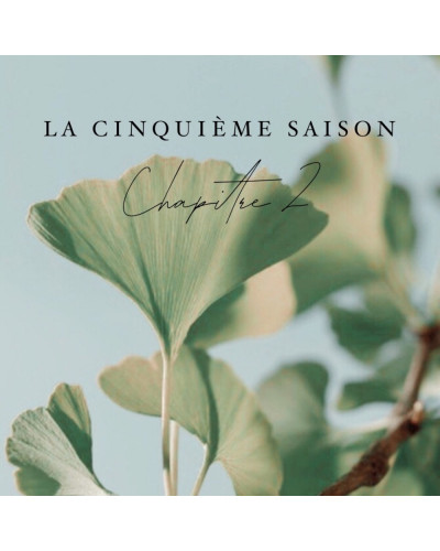 Coffret bague et puces d'oreille ginkgo biloba "La Cinquième Saison"